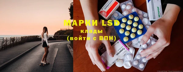 PSILOCYBIN Зерноград