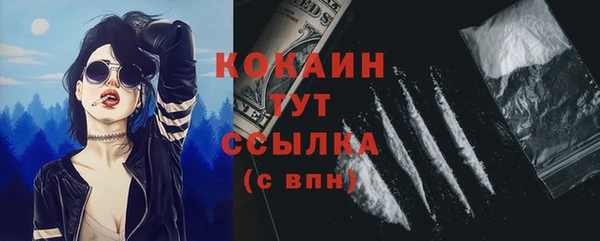 дурь Дмитровск