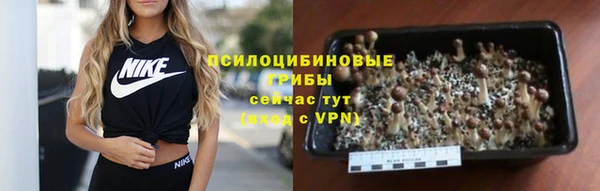 ГАЛЛЮЦИНОГЕННЫЕ ГРИБЫ Зеленокумск