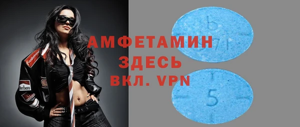 шишки Заводоуковск
