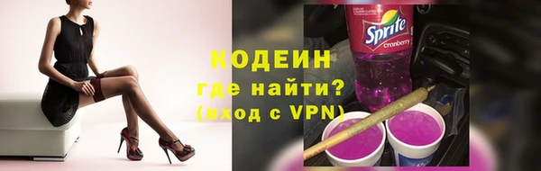 шишки Заводоуковск