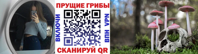 Галлюциногенные грибы GOLDEN TEACHER  сколько стоит  Михайловка 